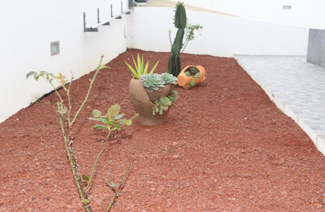 Casa Do Adro -Granel Βίλα Nordeste  Εξωτερικό φωτογραφία
